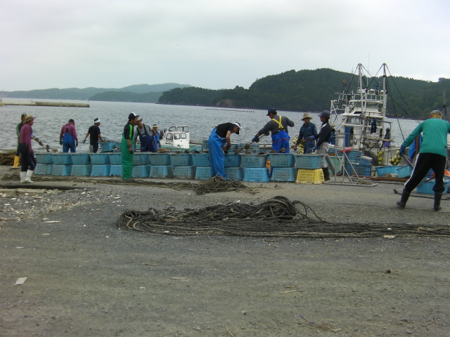 流された刺し網の修理作業風景・小乗浜浜